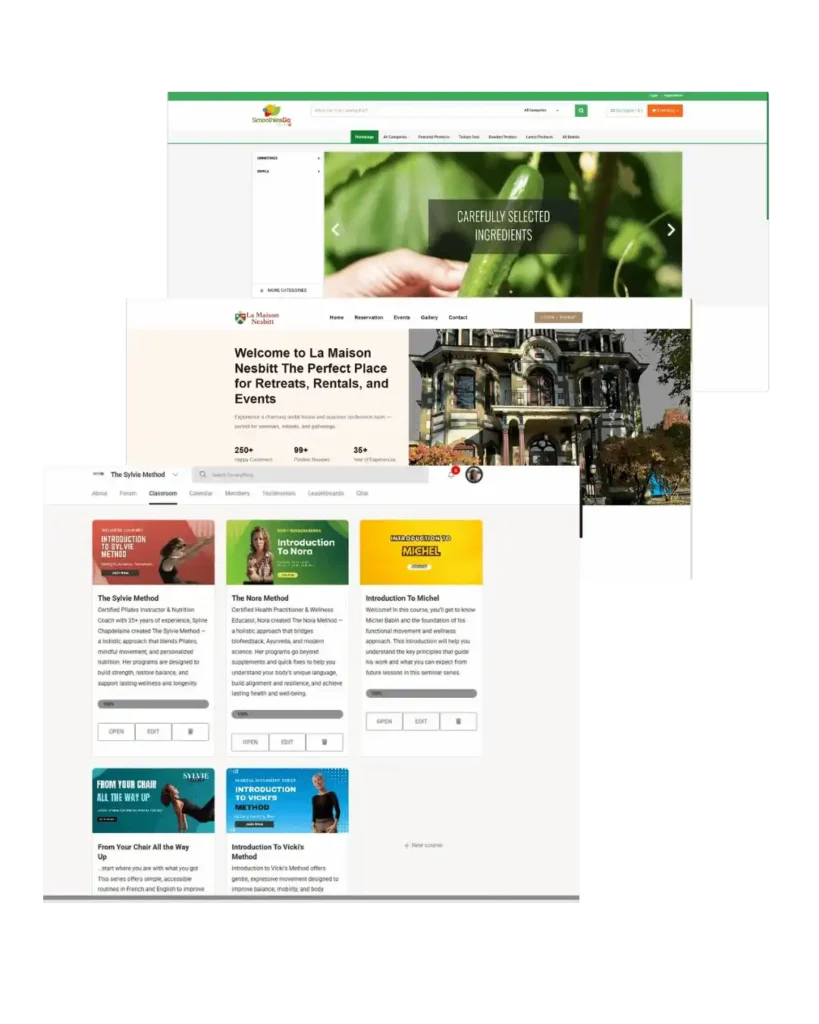 Websites that I help with their business